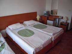 Zimmerbild 1