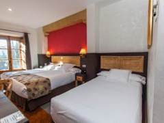 Zimmerbild 6