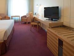 Zimmerbild 5
