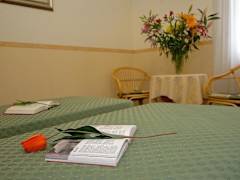 Zimmerbild 1