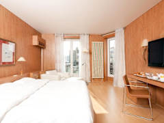 Zimmerbild 0