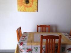 Zimmerbild 15