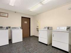 Zimmerbild 12