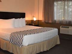 Zimmerbild 23