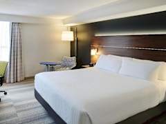 Zimmerbild 26