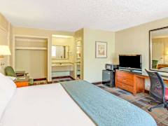Zimmerbild 14