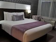 Zimmerbild 10