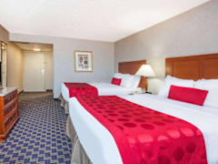 Zimmerbild 14
