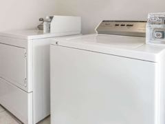 Zimmerbild 27