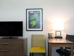 Zimmerbild 11