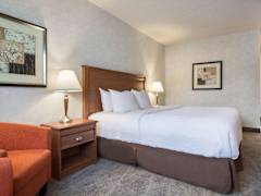 Zimmerbild 23