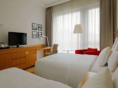 Zimmerbild 6
