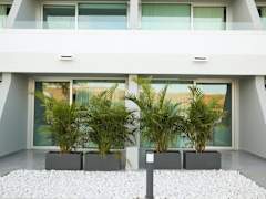 Zimmerbild 7