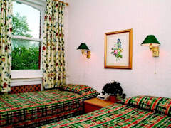 Zimmerbild 1