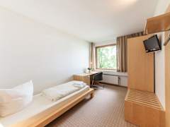 Zimmerbild 5