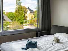 Zimmerbild 10