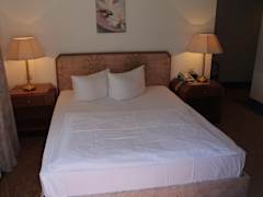 Zimmerbild 6