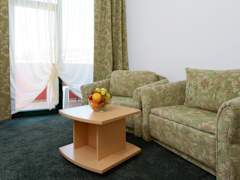 Zimmerbild 8