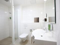 Zimmerbild 6