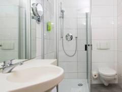 Zimmerbild 8