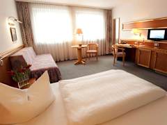 Zimmerbild 2