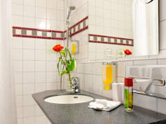 Zimmerbild 1