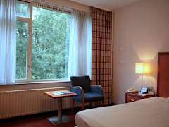 Zimmerbild 2