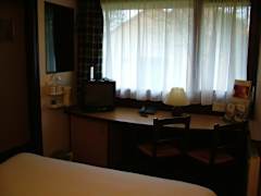 Zimmerbild 1