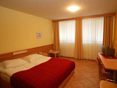 Zimmerbild 1