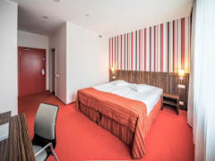 Zimmerbild 3