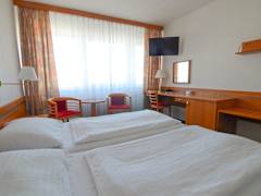 Zimmerbild 2