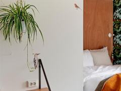 Zimmerbild 2