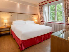 Zimmerbild 7