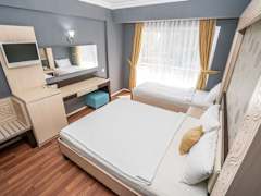 Zimmerbild 1