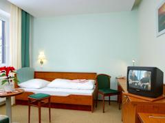 Zimmerbild 2