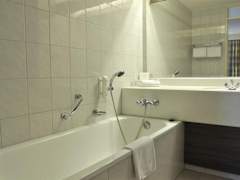Zimmerbild 1