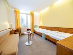 Zimmerbild 6
