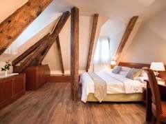 Zimmerbild 6