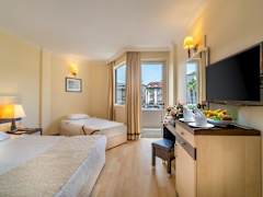 Zimmerbild 8