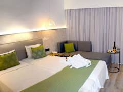 Zimmerbild 8
