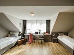 Zimmerbild 1