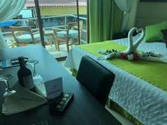 Zimmerbild 2