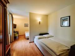 Zimmerbild 4