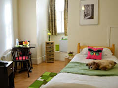 Zimmerbild 6