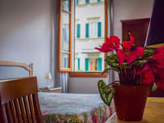 Zimmerbild 1