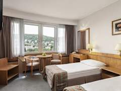 Zimmerbild 4