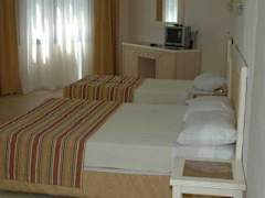 Zimmerbild 6