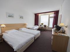 Zimmerbild 0