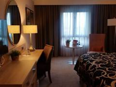 Zimmerbild 3