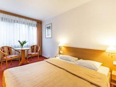 Zimmerbild 5